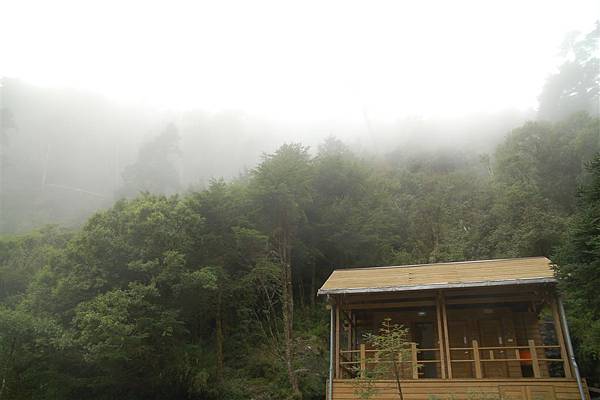 day1 (36)向陽山屋~起霧了.JPG