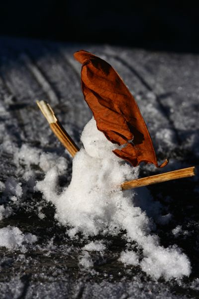 奇萊登山口 (9)堆個小雪人吧.JPG