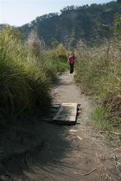 卓蘭~大安溪峽谷 (2)~一開始小路.JPG