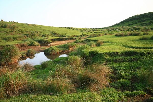 磺嘴山頂 (14).jpg