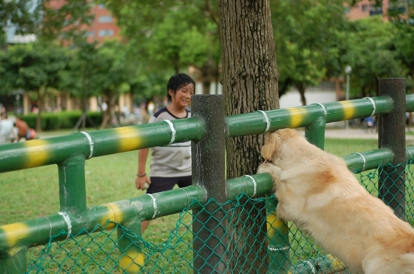 中和4號公園~狗狗篇 (4).jpg