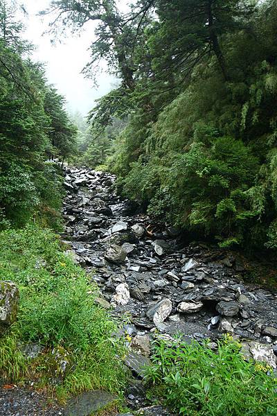 奇萊山 (41)奇萊山屋乾溪溝.jpg