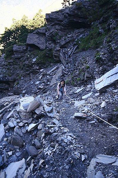 奇萊山 (53)碎石山壁.jpg