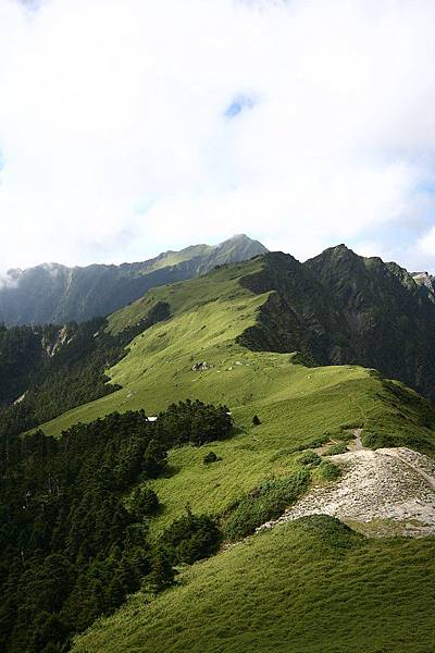 奇萊山 (64)奇萊大草原.jpg