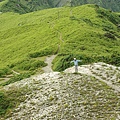 奇萊山 (72)奇萊大草原.jpg