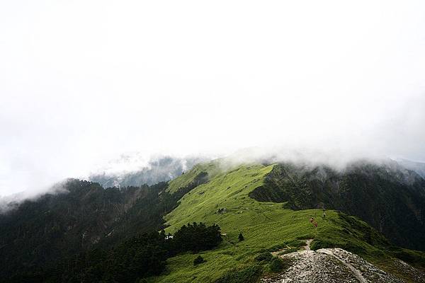 奇萊山 (78)奇萊大草原.jpg