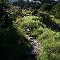 奇萊山 (117).jpg