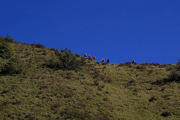 合歡山~登北峰的山友 (18).jpg