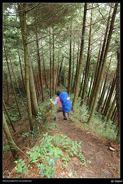 南湖大山‧殘念 (44)很陡的另一條捷徑~勝光.jpg