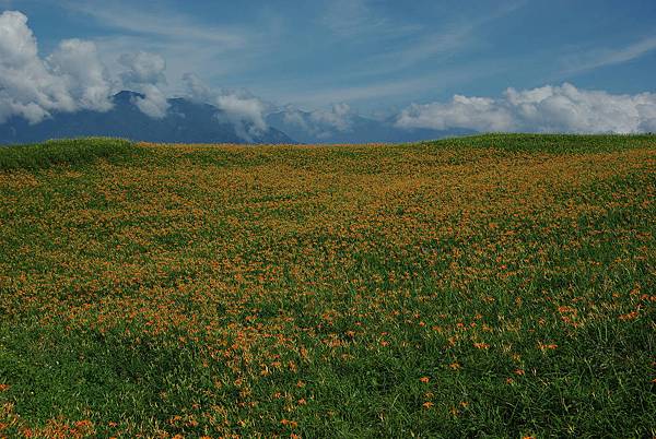 六十石山 (24).jpg