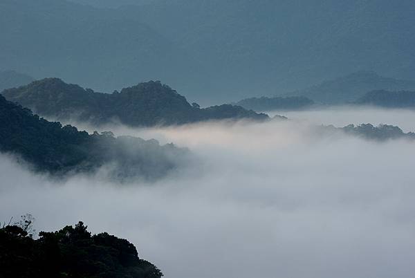 石錠~永安村 (3)平地也有雲海.jpg