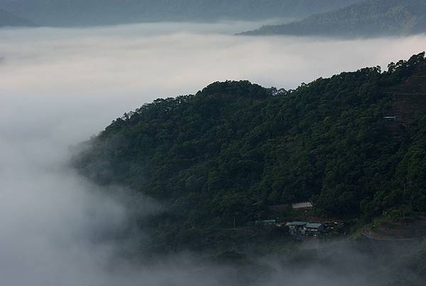 石錠~永安村 (5)平地也有雲海.jpg