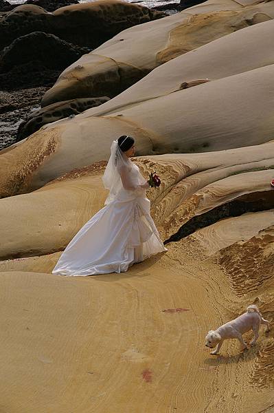 野柳地質公園 (6)二對新人來拍婚紗.JPG