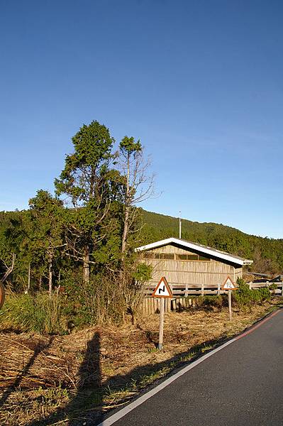 翠峰湖林道 (34).JPG