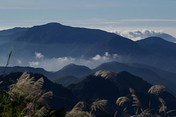 翠峰湖山毛櫸步道 (13).JPG