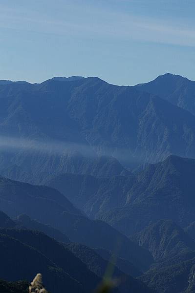 翠峰湖山毛櫸步道 (14).JPG