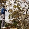 翠峰湖山毛櫸步道 (30).JPG