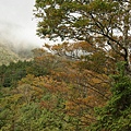 翠峰湖山毛櫸步道 (62).JPG