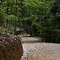 東勢林場 (18)雪花片片.JPG