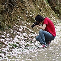 東勢林場 (28)雪花片片.JPG