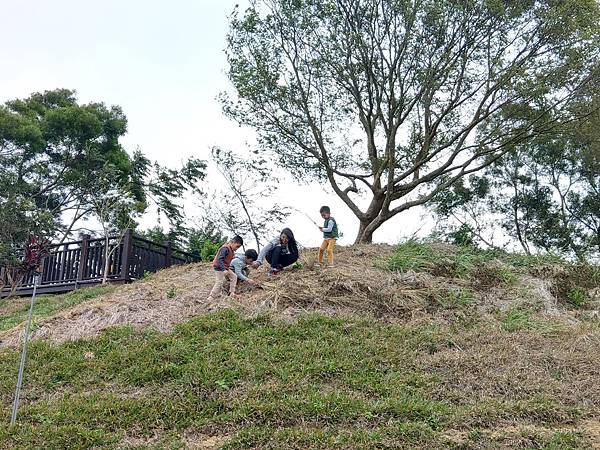 IMAG0822.jpg IMAG0822.jpg