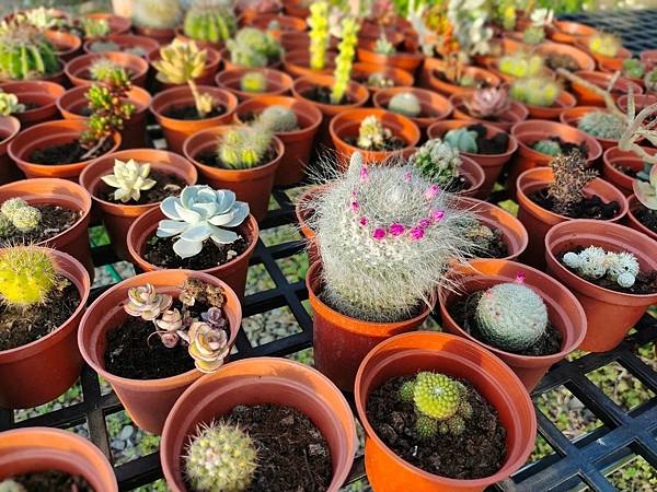 line_692353263460571.jpg line_692353263460571.jpg