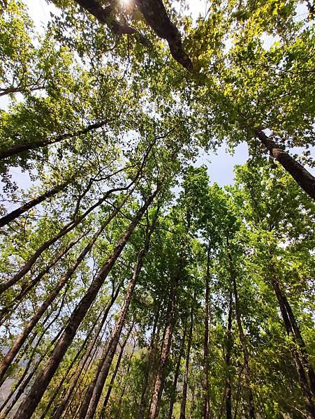 line_173209493391631.jpg line_173209493391631.jpg