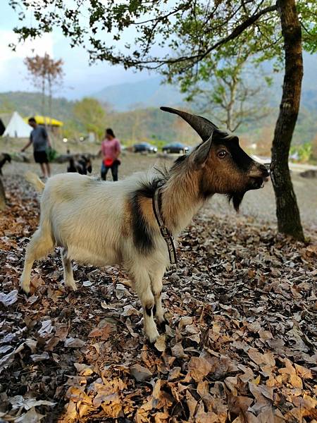 line_173233397405789.jpg line_173233397405789.jpg