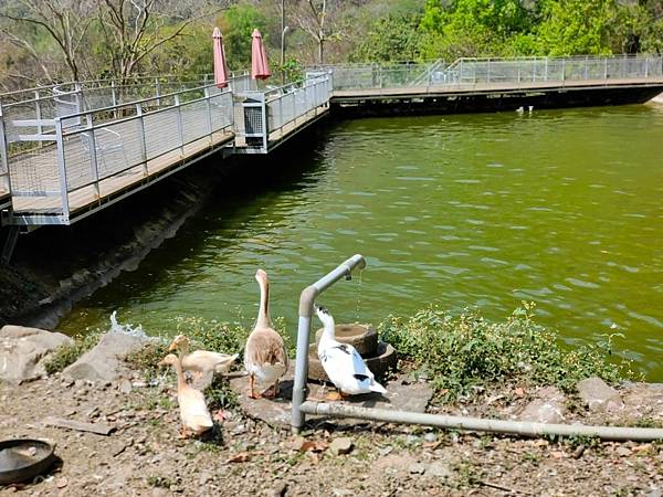 line_173259825494633.jpg line_173259825494633.jpg