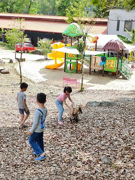 line_173272030944785.jpg line_173272030944785.jpg