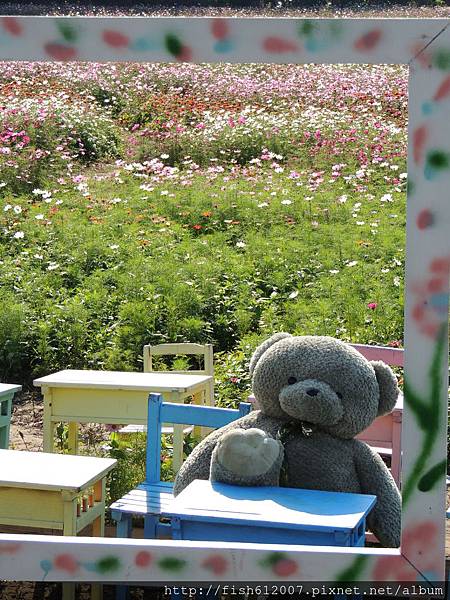 {fishraymond}2014 蘆竹花彩節 萬花童樂會4