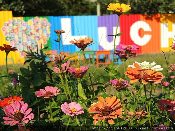 {fishraymond}2014 蘆竹花彩節 萬花童樂會15