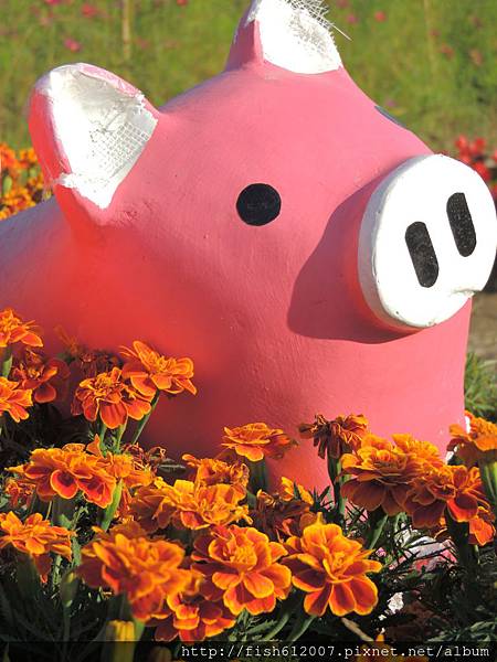 {fishraymond}2014 蘆竹花彩節 萬花童樂會16