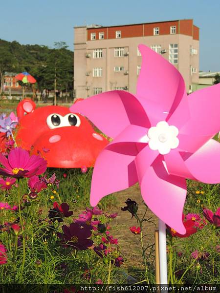 {fishraymond}2014 蘆竹花彩節 萬花童樂會17