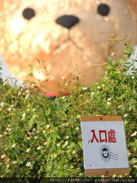 {fishraymond}2014 航空城地景藝術節 迷失的小熊2