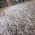 雪很小!!很小 