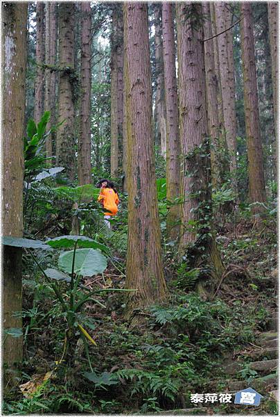 二本松丸田砲台遺址步道