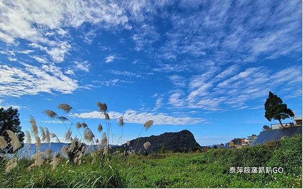 雲境露營區18.jpg