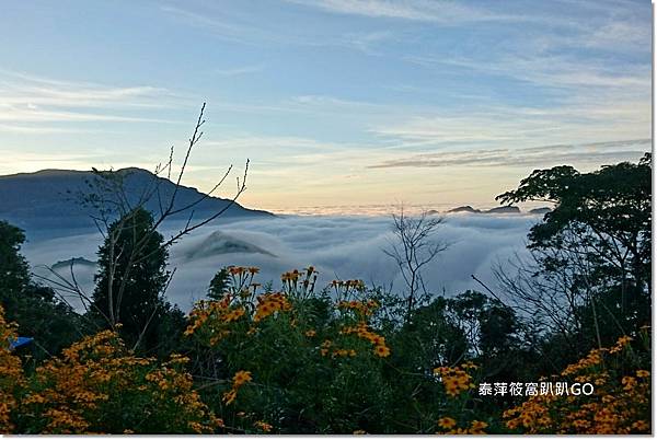 夕淞度日雲海2.jpg