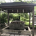 IMG_8099.JPG