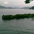 20100805_014.jpg