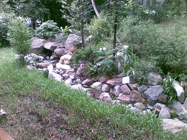 20100818_035.jpg