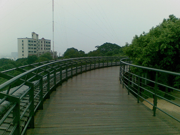 20100805_005.jpg