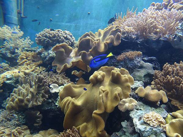 2013-10-11_17-05-56.JPG