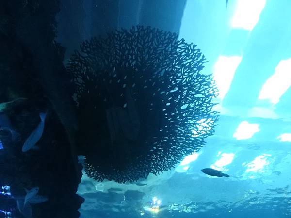 2013-10-11_17-15-36.JPG