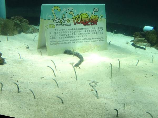 2013-10-11_17-32-33.JPG