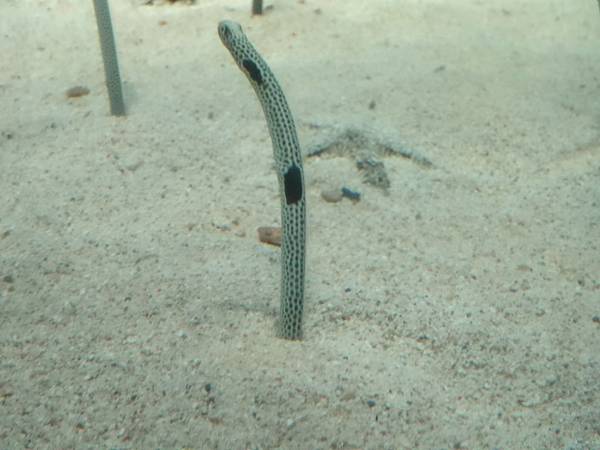 2013-10-11_17-34-12.JPG