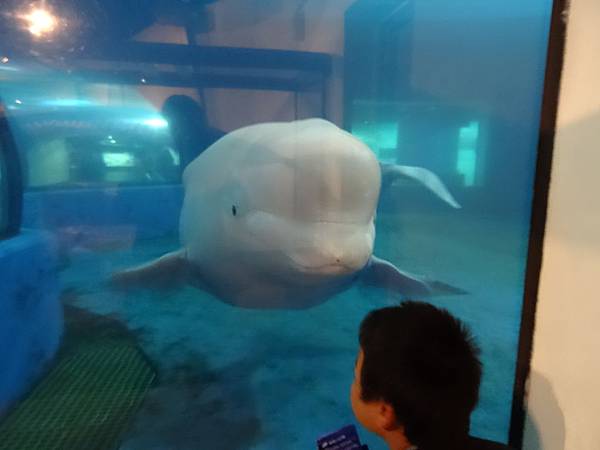2013-10-11_17-38-10.JPG