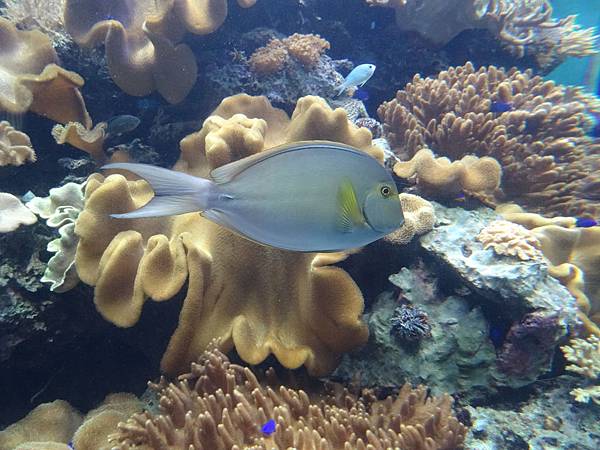 2013-10-11_18-26-47.JPG
