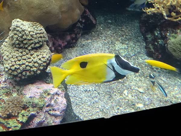 2013-10-11_18-27-52.JPG
